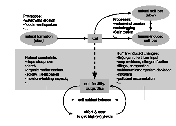 Factors in soil use
